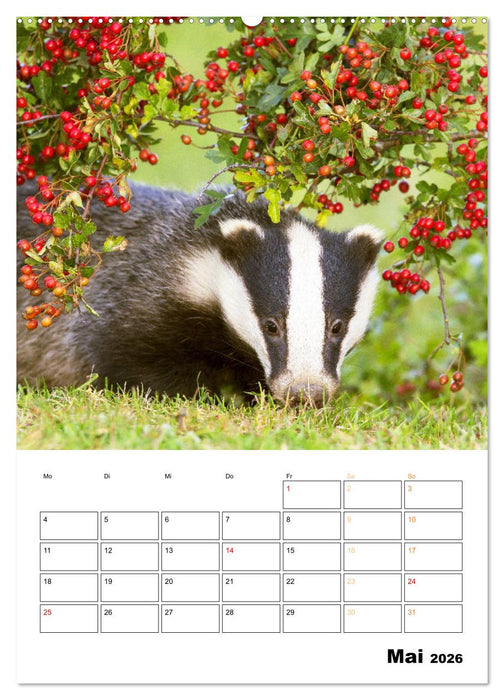 Wilde Tiere: Zuhause in Wald und Flur (CALVENDO Premium Wandkalender 2026)