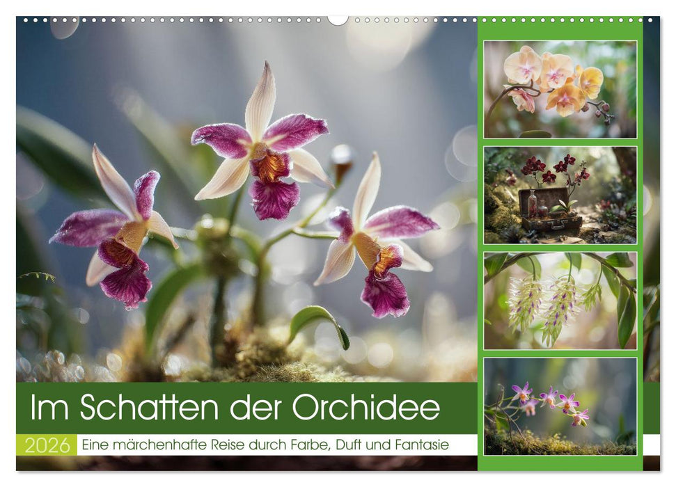 Im Schatten der Orchidee (CALVENDO Wandkalender 2026)