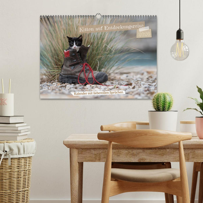 Kitten auf Entdeckungsreise (CALVENDO Wandkalender 2026)