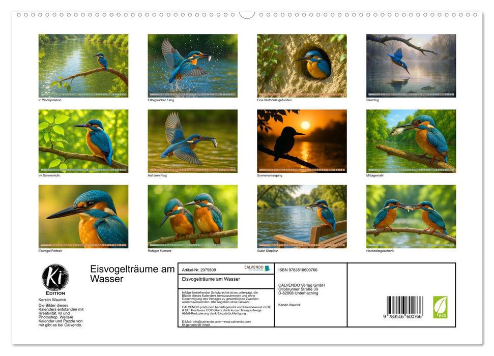 Eisvogelträume am Wasser (CALVENDO Premium Wandkalender 2026)