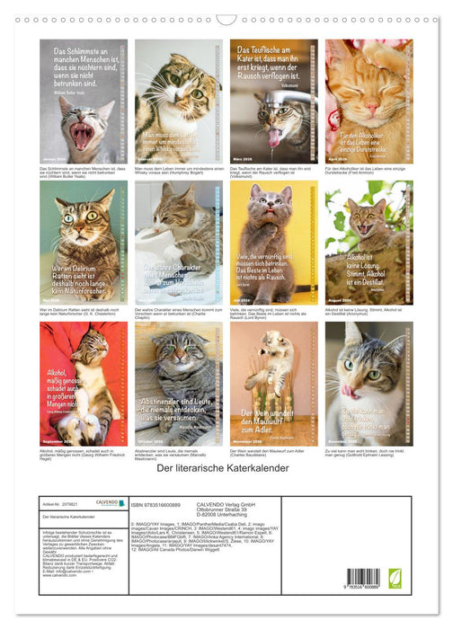 Der literarische Katerkalender (CALVENDO Wandkalender 2026)