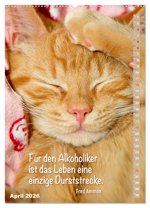 Der literarische Katerkalender (CALVENDO Wandkalender 2026)