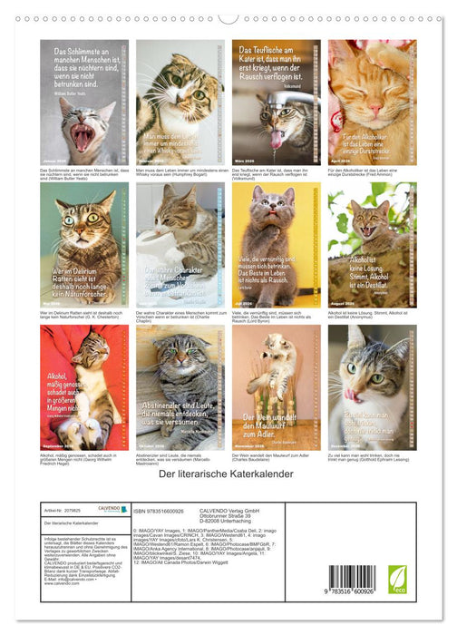 Der literarische Katerkalender (CALVENDO Premium Wandkalender 2026)