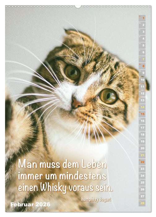 Der literarische Katerkalender (CALVENDO Premium Wandkalender 2026)
