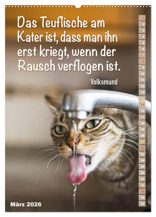 Der literarische Katerkalender (CALVENDO Premium Wandkalender 2026)