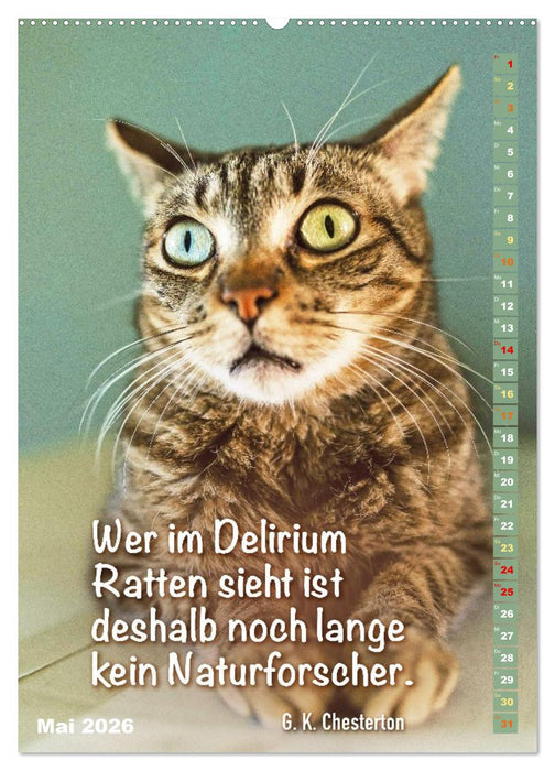 Der literarische Katerkalender (CALVENDO Premium Wandkalender 2026)
