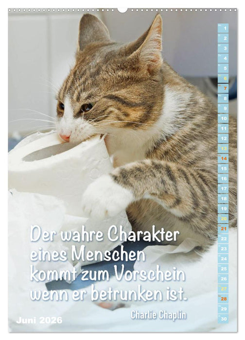 Der literarische Katerkalender (CALVENDO Premium Wandkalender 2026)