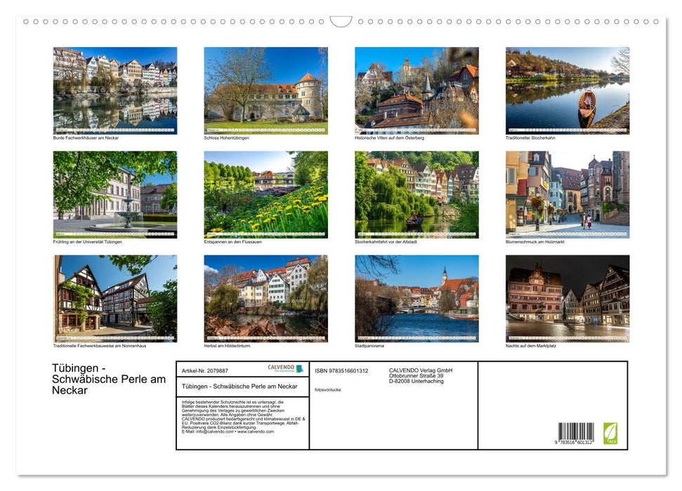 Tübingen - Schwäbische Perle am Neckar (CALVENDO Wandkalender 2026)