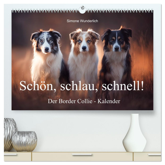 Schön, schlau, schnell! - Der Border Collie - Kalender (CALVENDO Premium Wandkalender 2026)