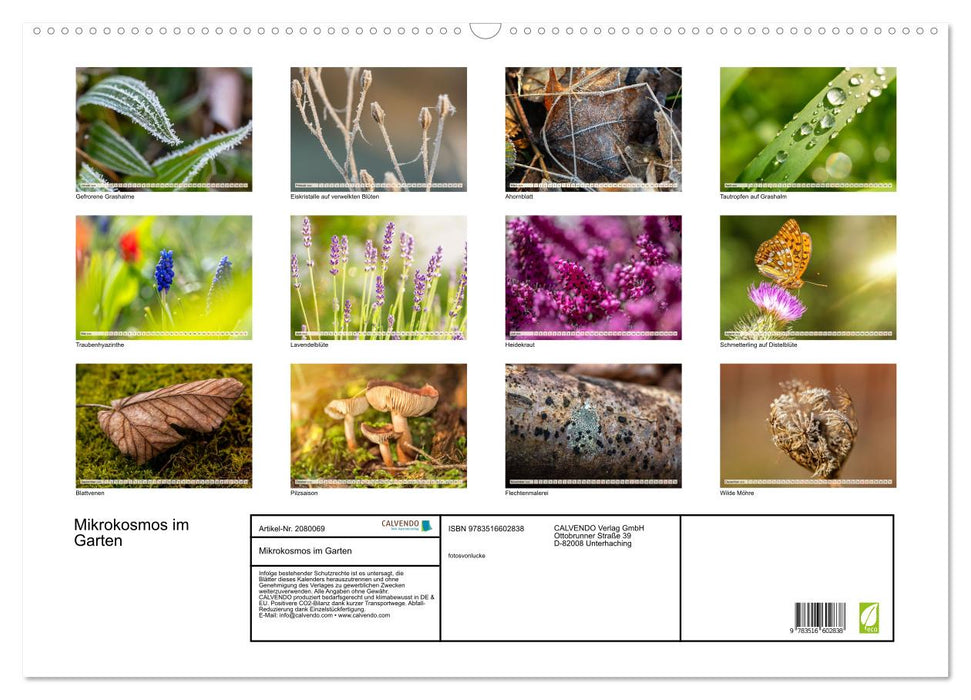 Mikrokosmos im Garten (CALVENDO Wandkalender 2026)