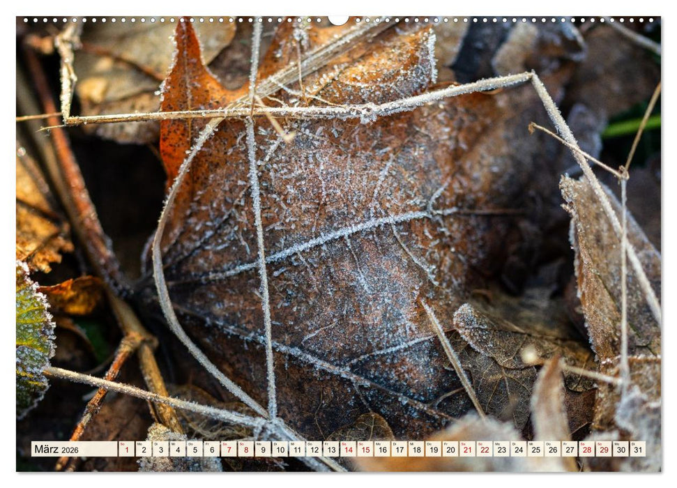 Mikrokosmos im Garten (CALVENDO Premium Wandkalender 2026)
