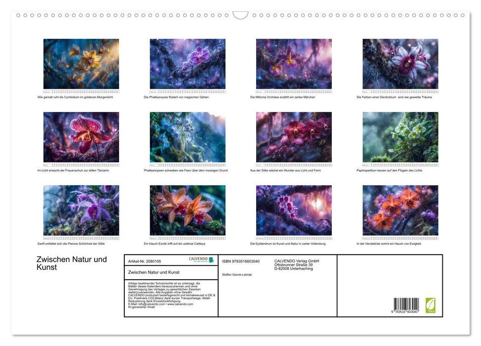 Zwischen Natur und Kunst (CALVENDO Wandkalender 2026)
