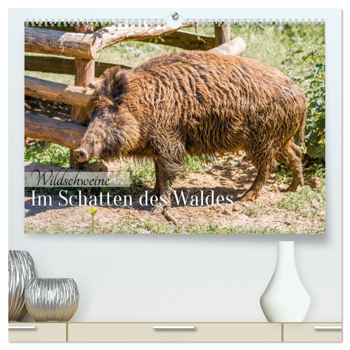 Wildschweine - Im Schatten des Waldes (CALVENDO Premium Wandkalender 2026)