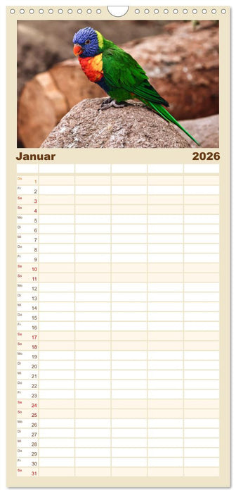 Zauberhaft und farbenfroh (CALVENDO Familienplaner 2026)