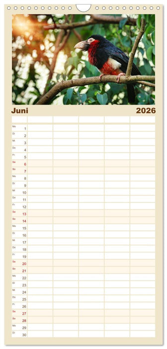 Zauberhaft und farbenfroh (CALVENDO Familienplaner 2026)