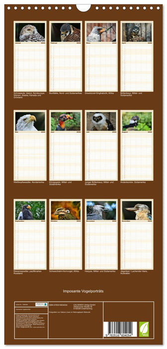 Imposante Vogelporträts (CALVENDO Familienplaner 2026)