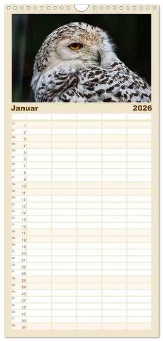 Imposante Vogelporträts (CALVENDO Familienplaner 2026)