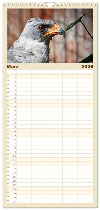 Imposante Vogelporträts (CALVENDO Familienplaner 2026)