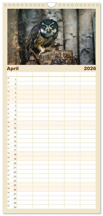 Imposante Vogelporträts (CALVENDO Familienplaner 2026)