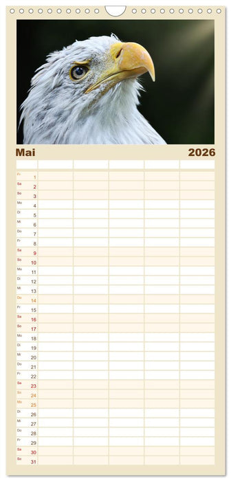 Imposante Vogelporträts (CALVENDO Familienplaner 2026)