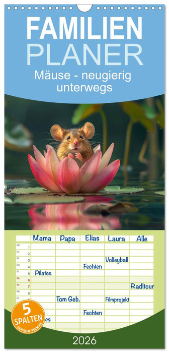 Mäuse - neugierig unterwegs (CALVENDO Familienplaner 2026)