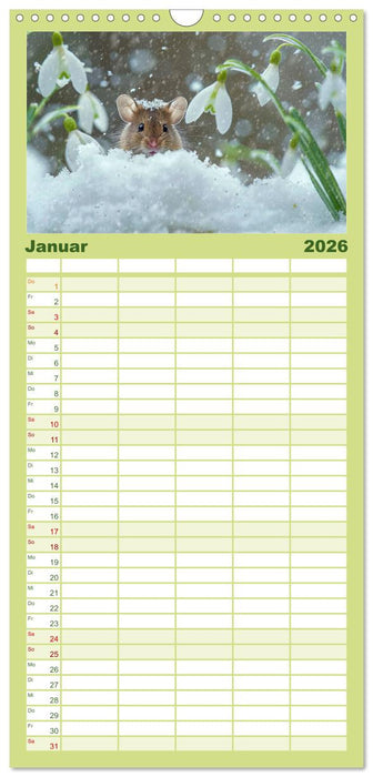 Mäuse - neugierig unterwegs (CALVENDO Familienplaner 2026)