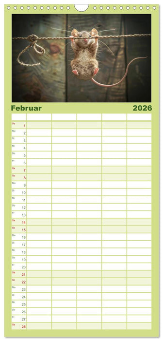 Mäuse - neugierig unterwegs (CALVENDO Familienplaner 2026)