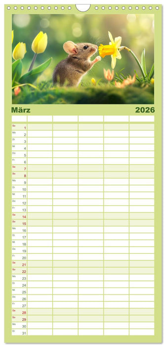 Mäuse - neugierig unterwegs (CALVENDO Familienplaner 2026)