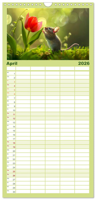 Mäuse - neugierig unterwegs (CALVENDO Familienplaner 2026)