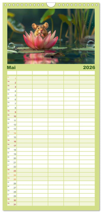 Mäuse - neugierig unterwegs (CALVENDO Familienplaner 2026)