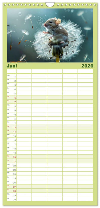 Mäuse - neugierig unterwegs (CALVENDO Familienplaner 2026)