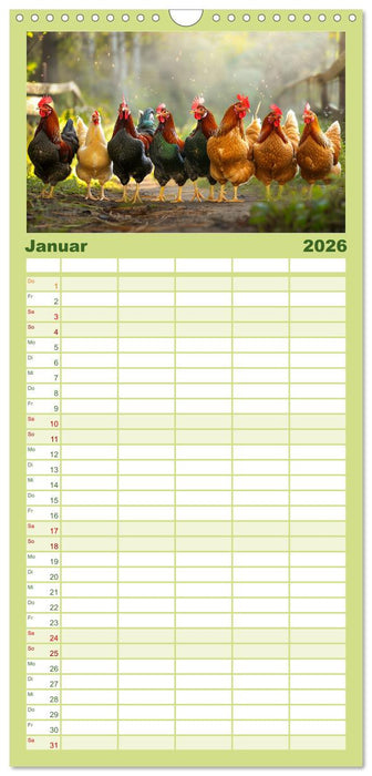 Hühner Federvieh (CALVENDO Familienplaner 2026)