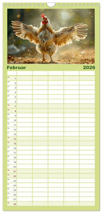Hühner Federvieh (CALVENDO Familienplaner 2026)