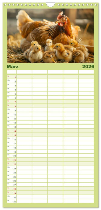 Hühner Federvieh (CALVENDO Familienplaner 2026)