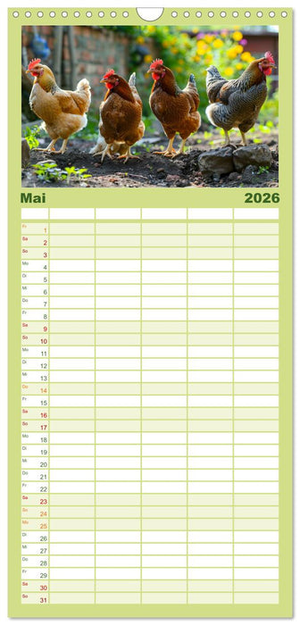 Hühner Federvieh (CALVENDO Familienplaner 2026)