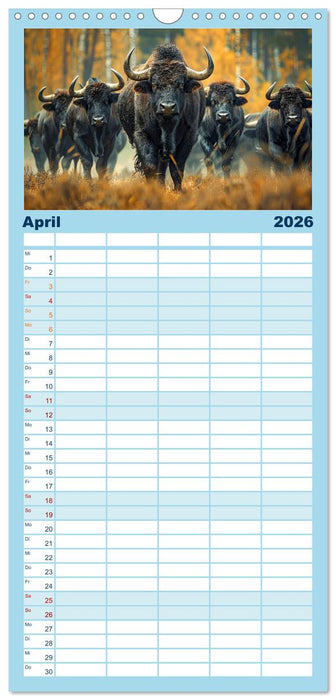 Reise in die Urzeit (CALVENDO Familienplaner 2026)