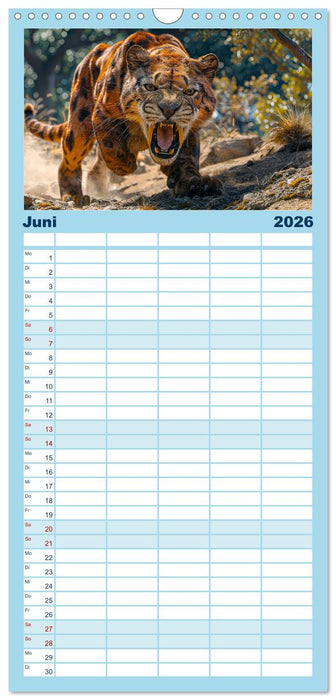 Reise in die Urzeit (CALVENDO Familienplaner 2026)