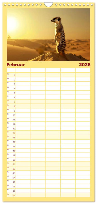 Erdmännchen - coole Typen (CALVENDO Familienplaner 2026)