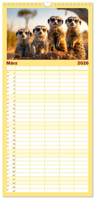 Erdmännchen - coole Typen (CALVENDO Familienplaner 2026)