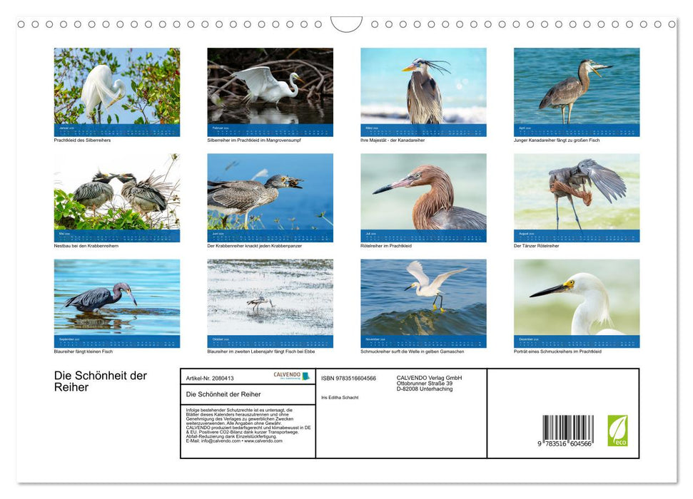 Die Schönheit der Reiher (CALVENDO Wandkalender 2026)