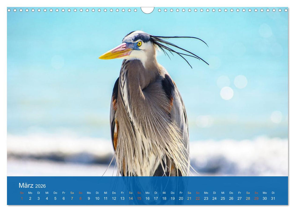 Die Schönheit der Reiher (CALVENDO Wandkalender 2026)