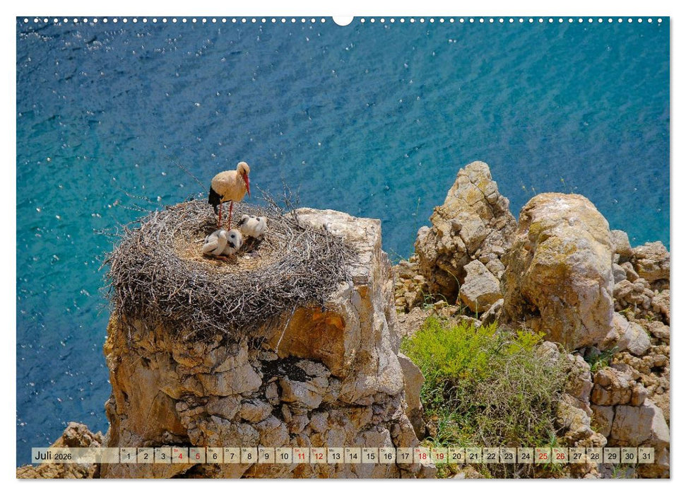 Fischerweg Portugal (CALVENDO Premium Wandkalender 2026)