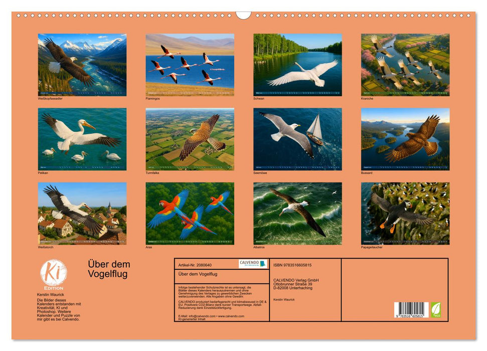Über dem Vogelflug (CALVENDO Wandkalender 2026)
