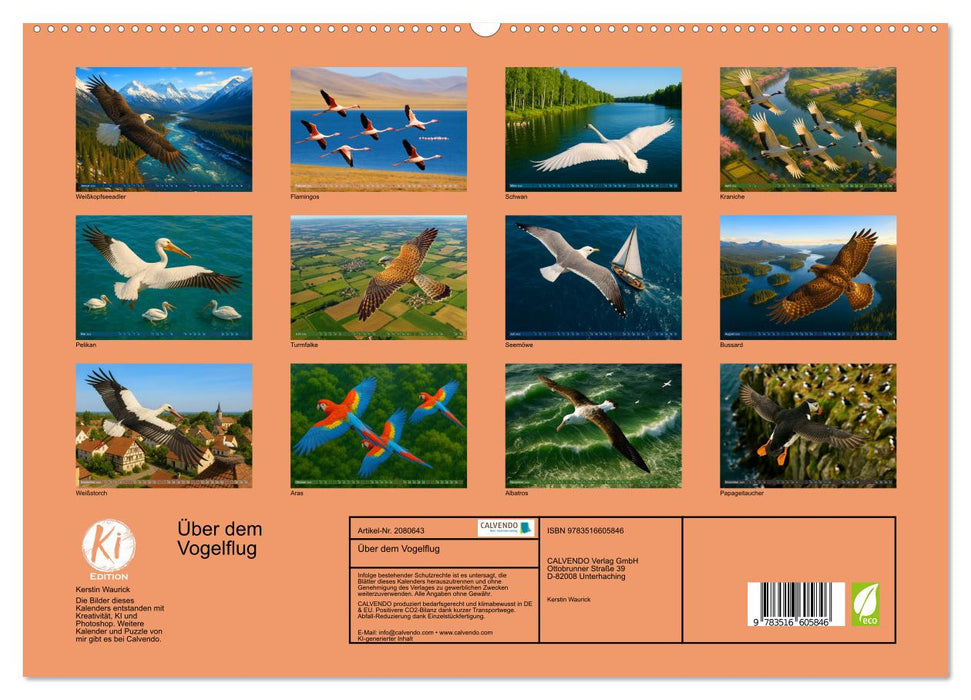 Über dem Vogelflug (CALVENDO Premium Wandkalender 2026)