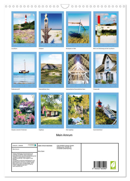 Mein Amrum (CALVENDO Wandkalender 2026)