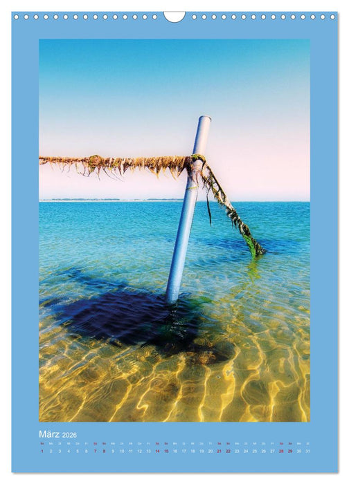 Mein Amrum (CALVENDO Wandkalender 2026)