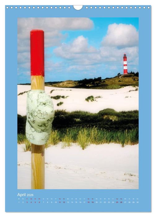 Mein Amrum (CALVENDO Wandkalender 2026)