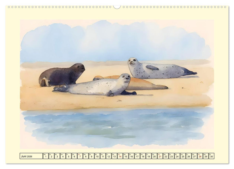 BORKUM Perle der Nordsee (CALVENDO Wandkalender 2026)