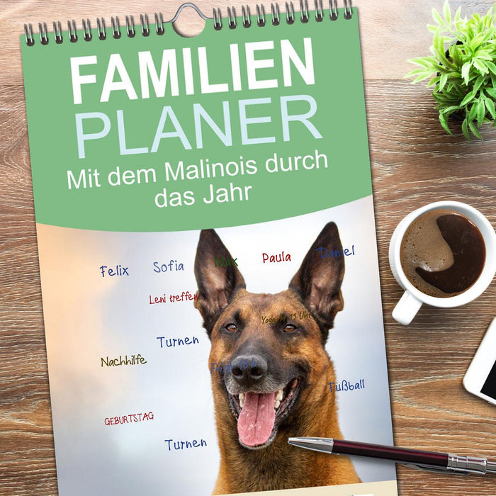Mit dem Malinois durch das Jahr (CALVENDO Familienplaner 2026)
