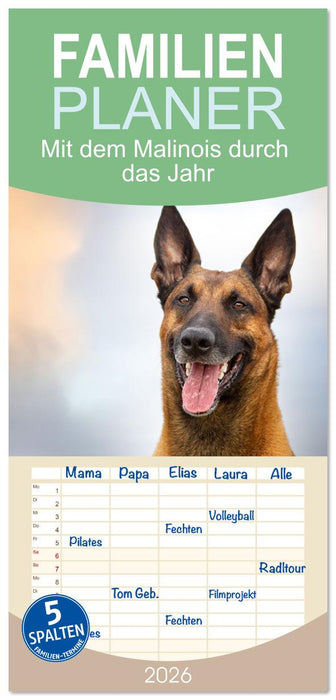 Mit dem Malinois durch das Jahr (CALVENDO Familienplaner 2026)